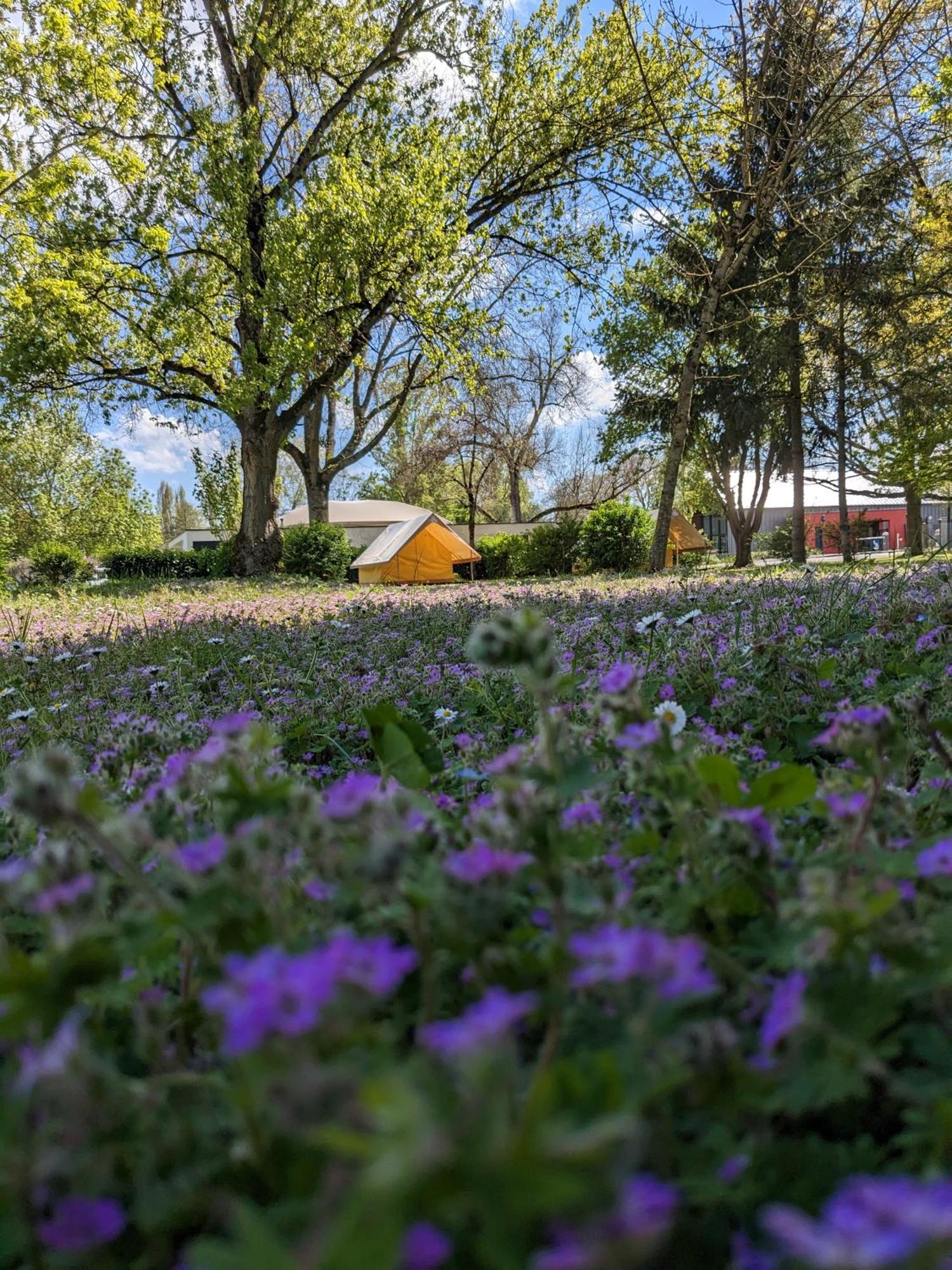 Camping Onlycamp Tours Val De Loire سانت-آفيرتين المظهر الخارجي الصورة